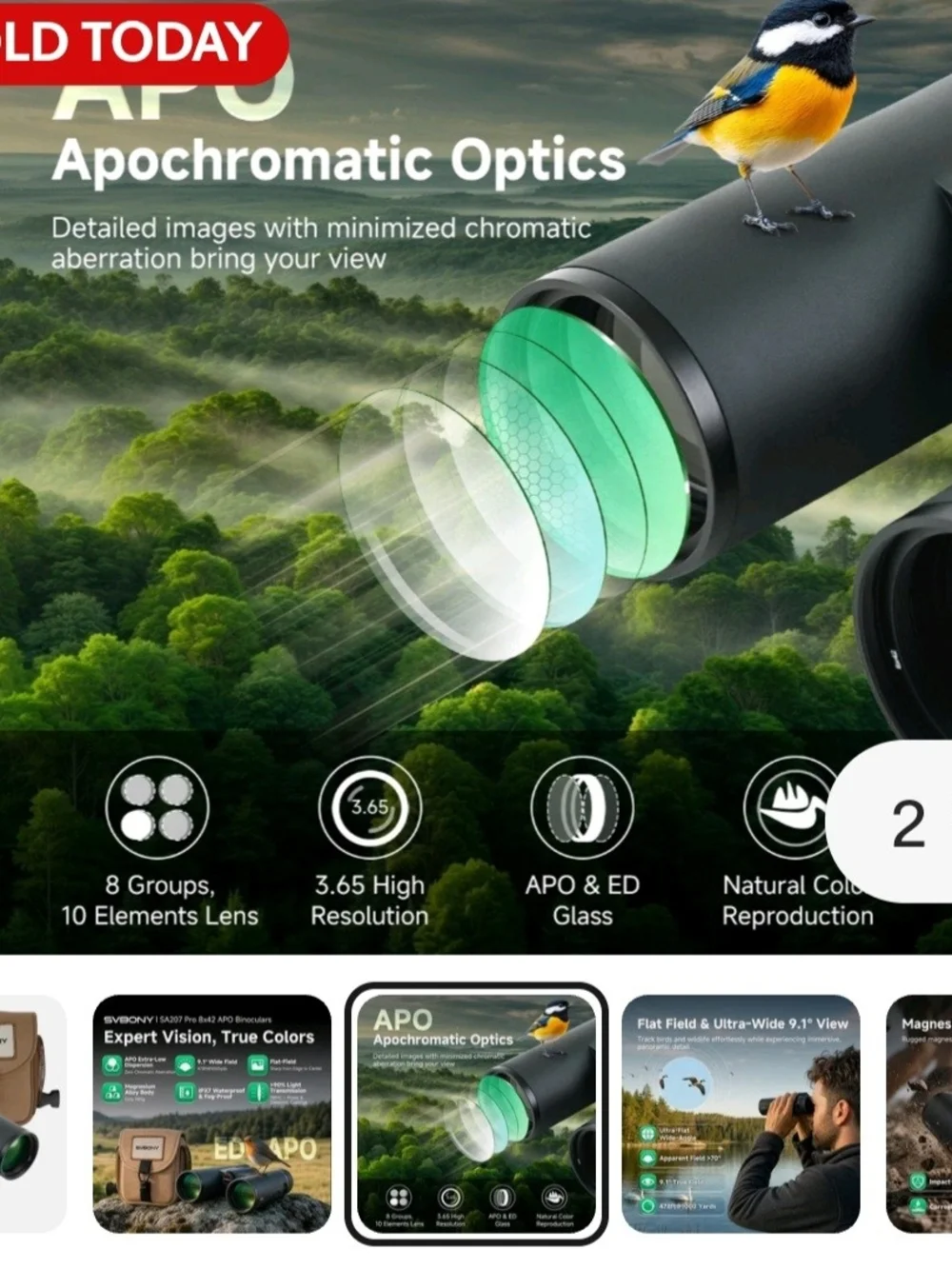 Black Binoculars with Brown Carry Case - High-Definition Optics